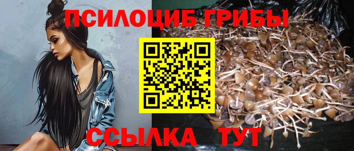 Чебаркуль  Галлюциногенные грибы GOLDEN TEACHER  Галлюциногенные грибы мицелий  Вход с VPN 