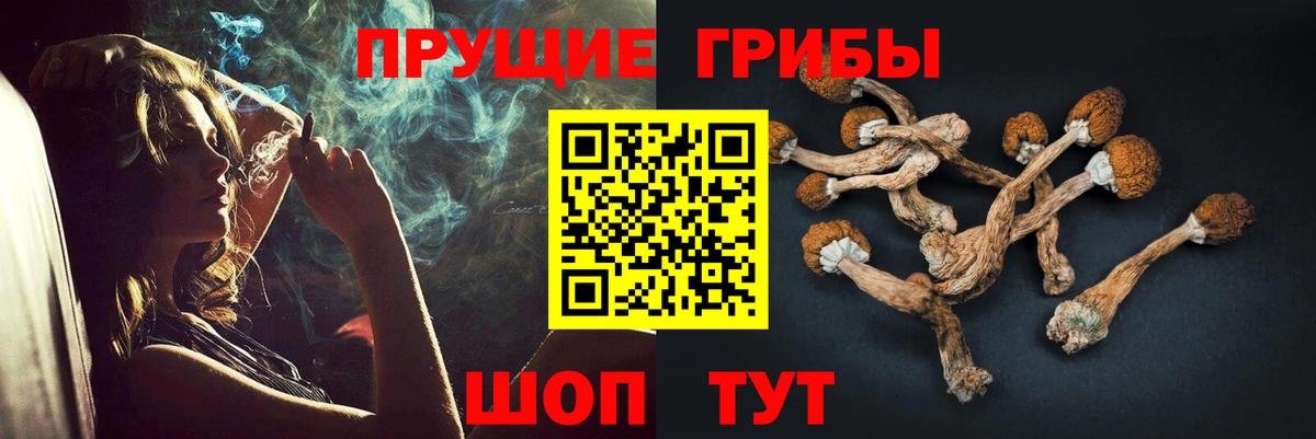 Псилоцибиновые грибы мухоморы Чебаркуль